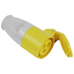 Plugs & Sockets